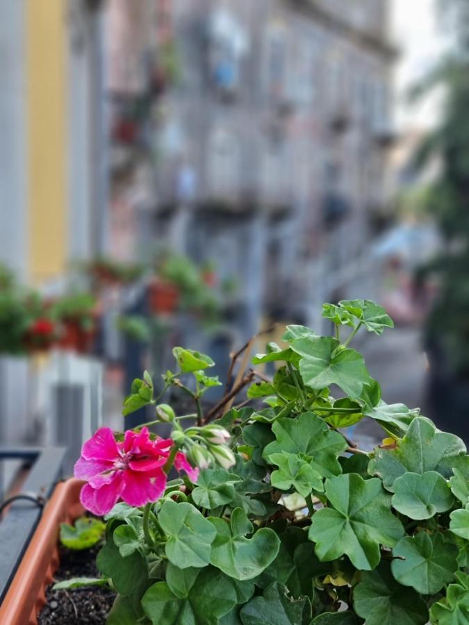 Casa Tua Suites Catania Bagian luar foto